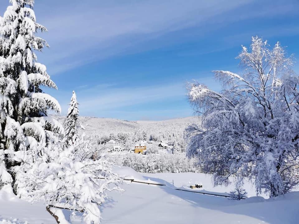 Studio Soleil Au Hohwald Exterior photo